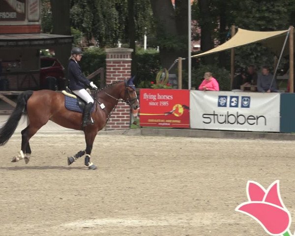 Reitturnier Klein Roscharden 2023