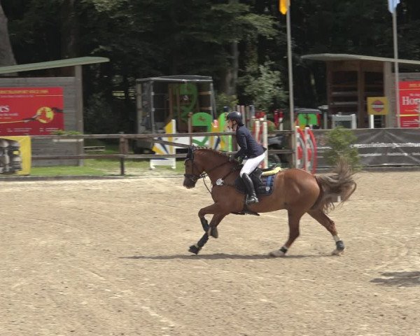 Reitturnier Klein Roscharden 2023