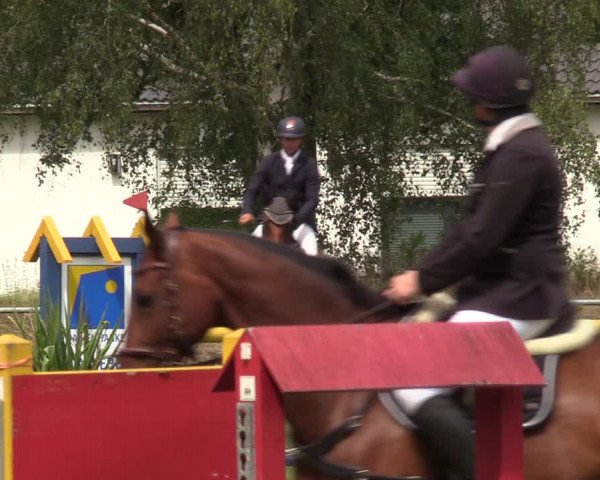 Reitturnier Dannenberg 2023