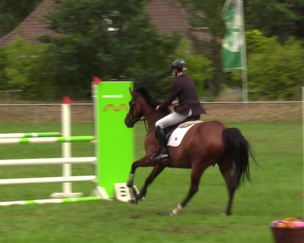 Reitturnier Dannenberg 2023