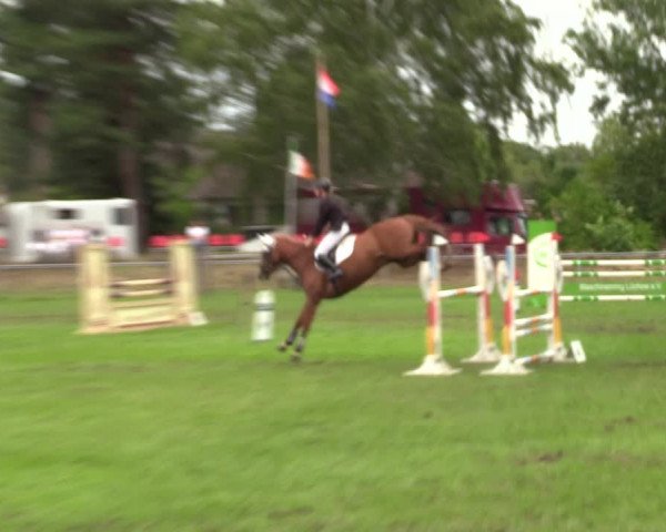 Reitturnier Dannenberg 2023