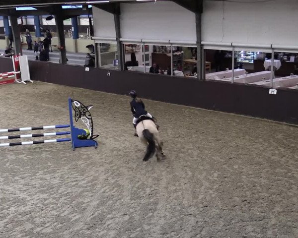 23. Legdener Ponymeeting 2021