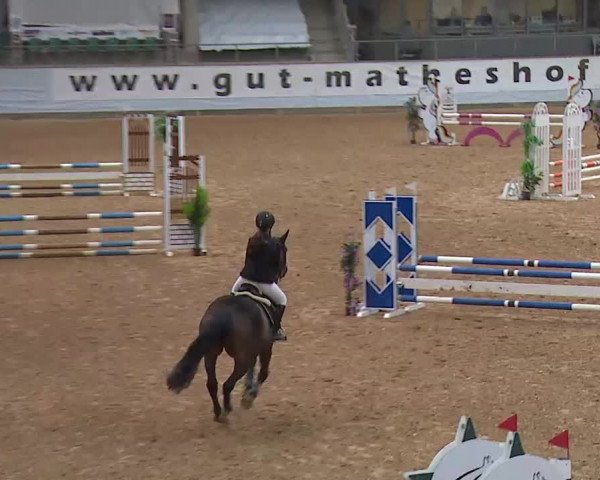 Springturnier Kreuth 2021