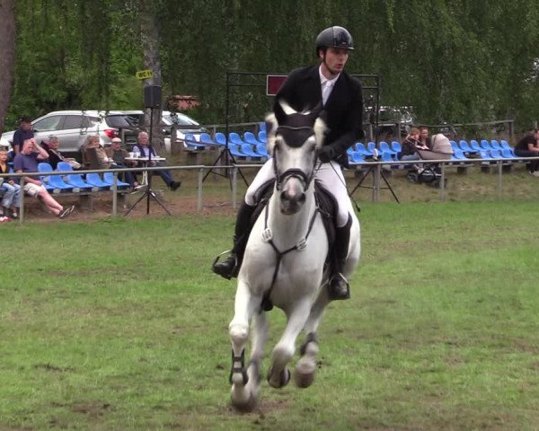 Reitturnier Dannenberg 2023