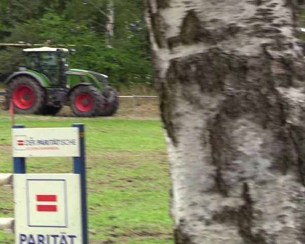 Reitturnier Dannenberg 2023