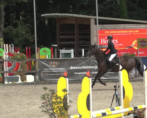Reitturnier Klein Roscharden 2023