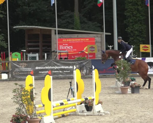 Reitturnier Klein Roscharden 2023