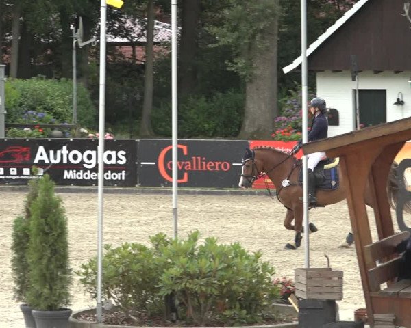 Reitturnier Klein Roscharden 2023