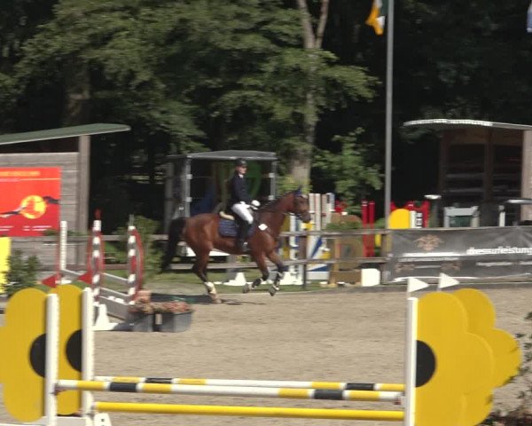 Reitturnier Klein Roscharden 2023