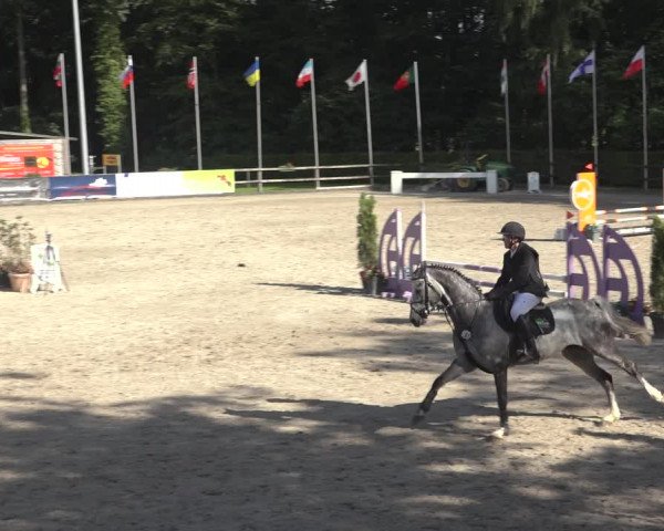 Reitturnier Klein Roscharden 2023
