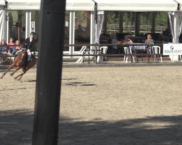 Reitturnier Klein Roscharden 2023