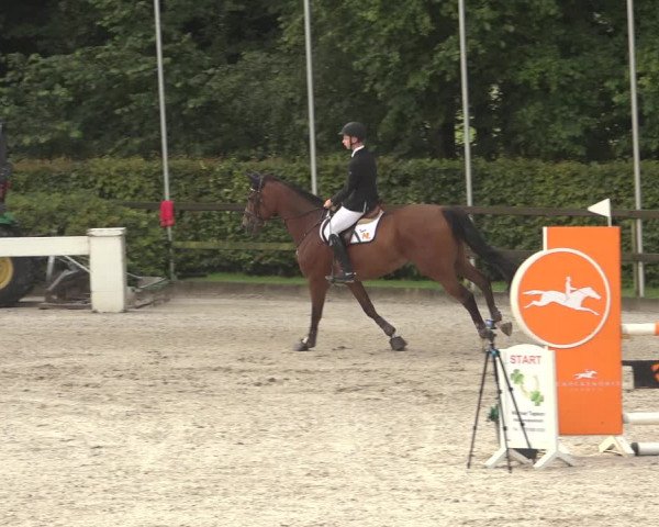 Reitturnier Klein Roscharden 2023