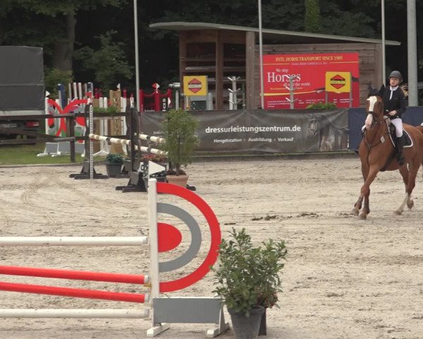 Reitturnier Klein Roscharden 2023