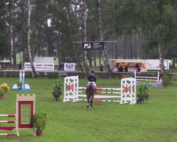 Reitturnier Etingen 2023