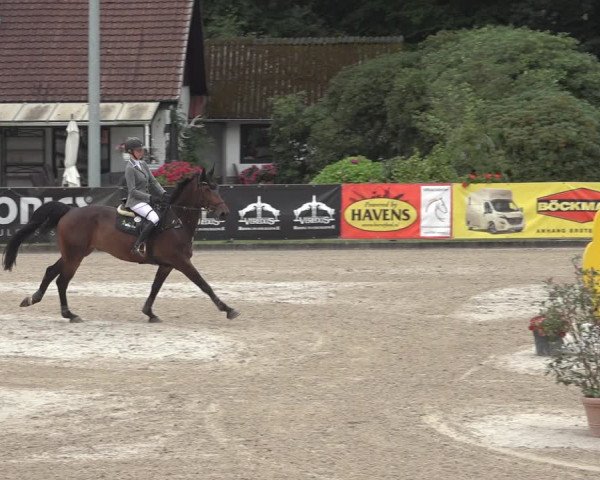 Reitturnier Klein Roscharden 2023