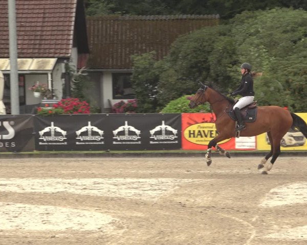 Reitturnier Klein Roscharden 2023