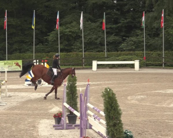 Reitturnier Klein Roscharden 2023