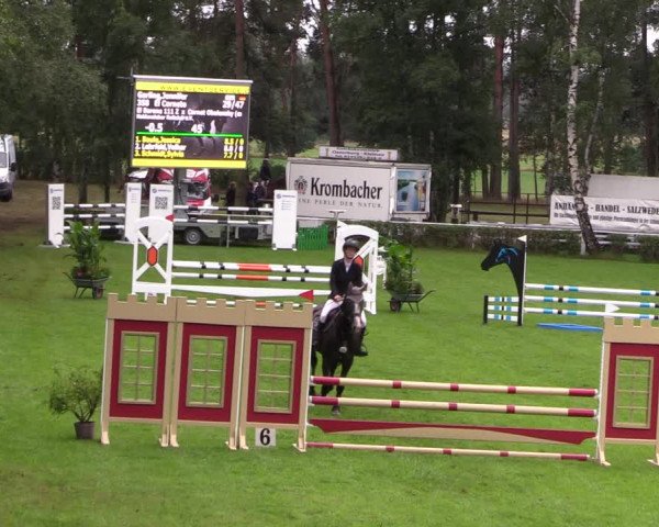 Reitturnier Etingen 2023