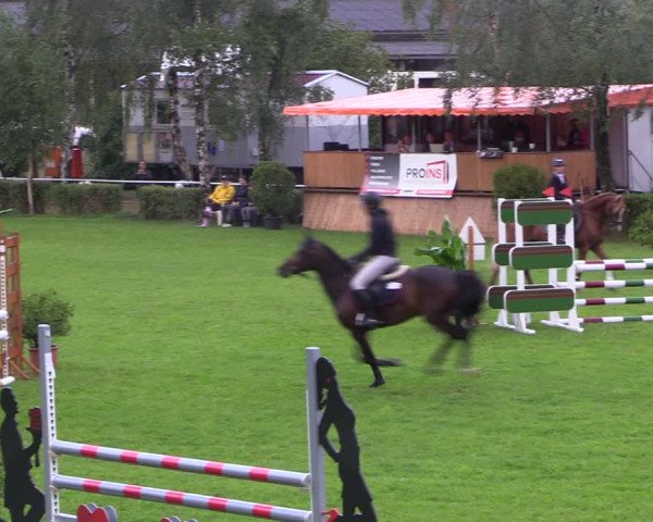 Reitturnier Etingen 2023