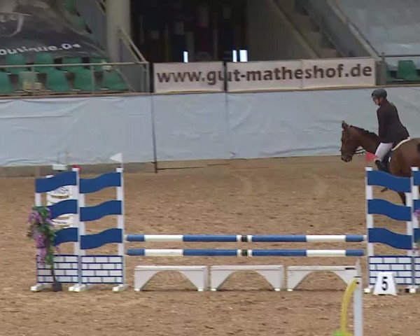 Springturnier Kreuth 2021