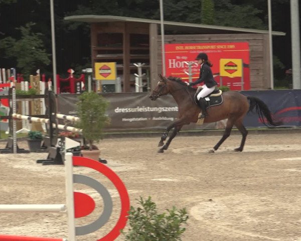 Reitturnier Klein Roscharden 2023