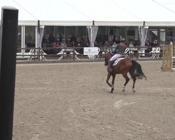 Reitturnier Klein Roscharden 2023