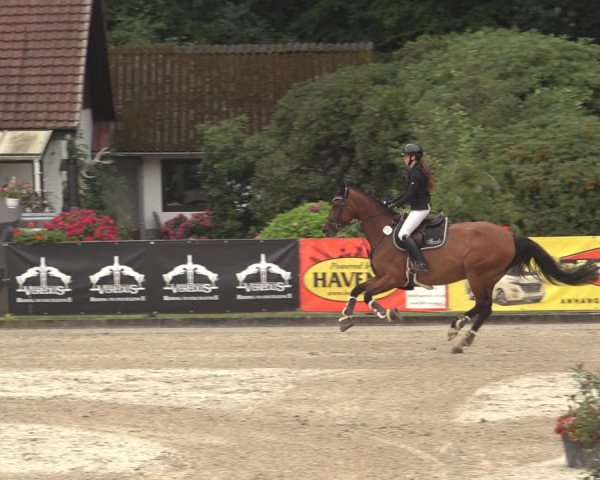 Reitturnier Klein Roscharden 2023
