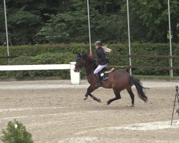 Reitturnier Klein Roscharden 2023