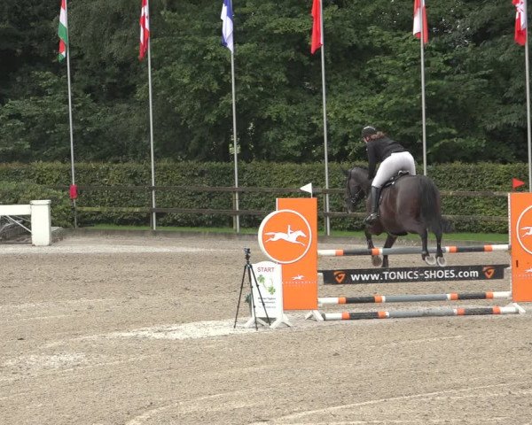Reitturnier Klein Roscharden 2023