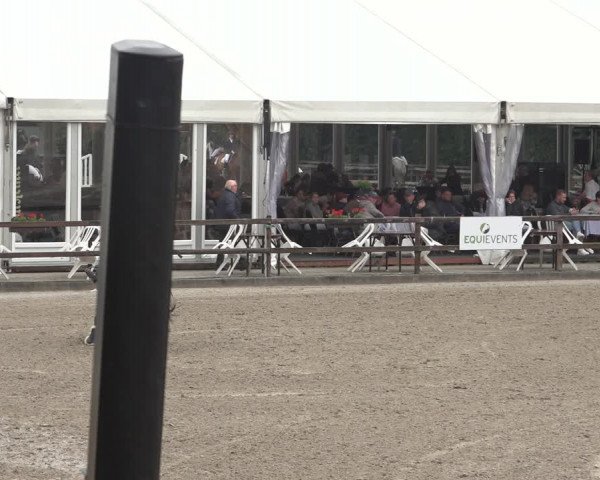 Reitturnier Klein Roscharden 2023