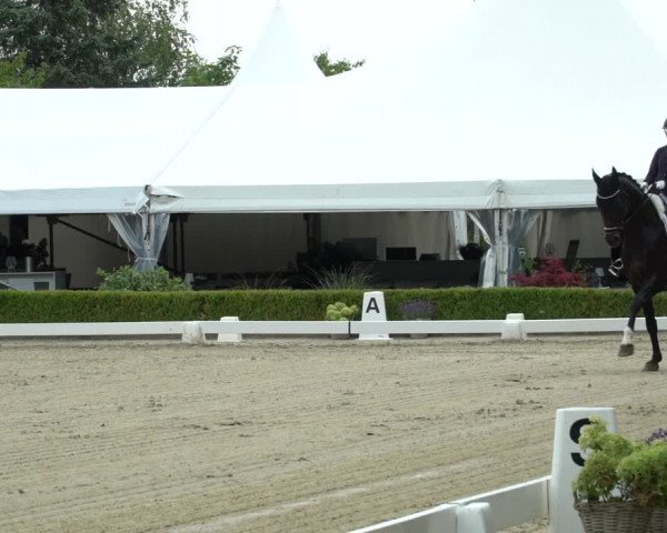 Reitturnier Neu-Anspach / Wintermühle 2023