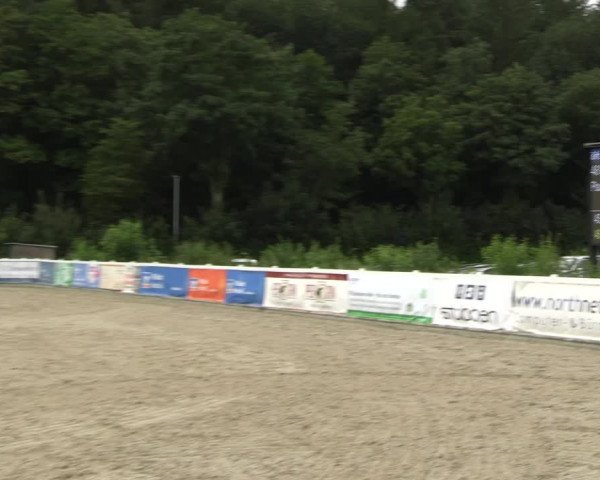 Reitturnier Ladelunder Springtage 2023
