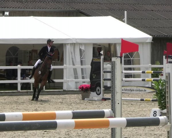 Reitturnier Ladelunder Springtage 2023
