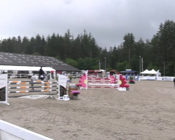 Reitturnier Ladelunder Springtage 2023