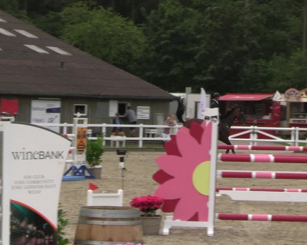 Reitturnier Ladelunder Springtage 2023