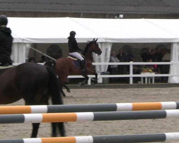 Reitturnier Ladelunder Springtage 2023