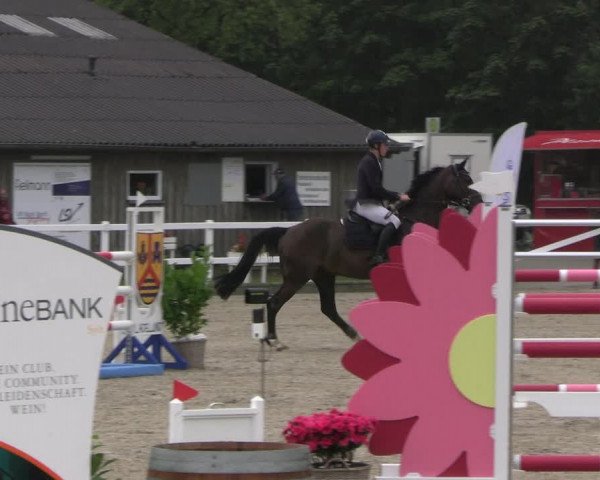 Reitturnier Ladelunder Springtage 2023