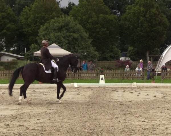 Reitturnier Breiholz/ Schülp 2023