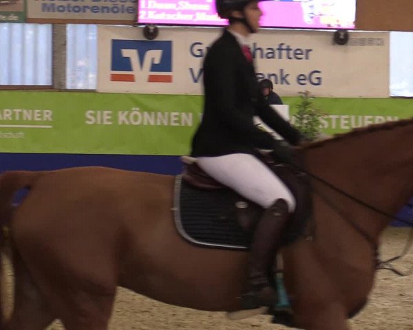 Euregio Springturnier Isterberg 2021