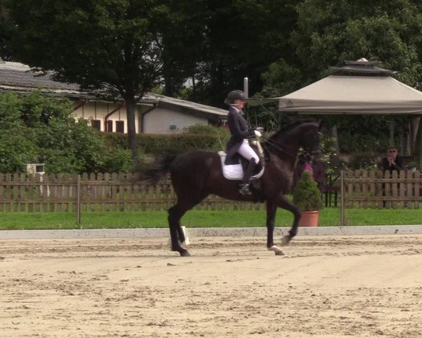 Reitturnier Breiholz/ Schülp 2023