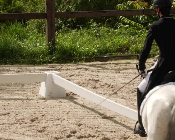 Reitturnier Bübinger Hof 2023