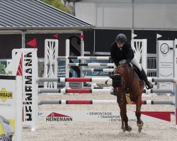 Reitturnier Worms-Pfeddersheim / Reitsportanlage Wittemer 2023