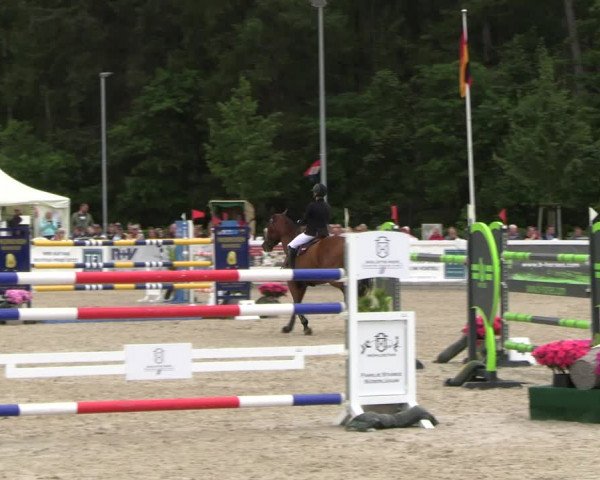 Reitturnier Ladelunder Springtage 2023
