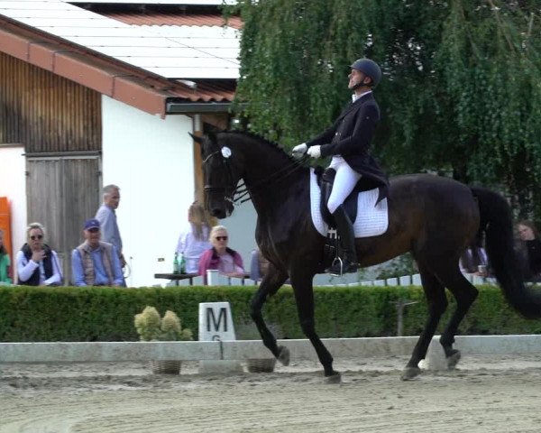Reitturnier Neu-Anspach / Wintermühle 2023
