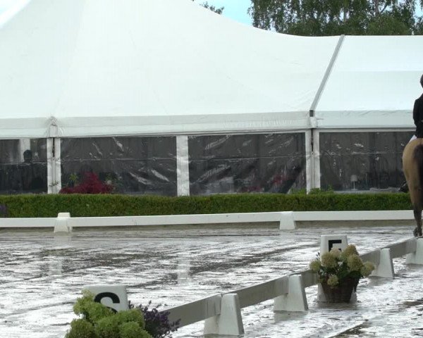 Reitturnier Neu-Anspach / Wintermühle 2023