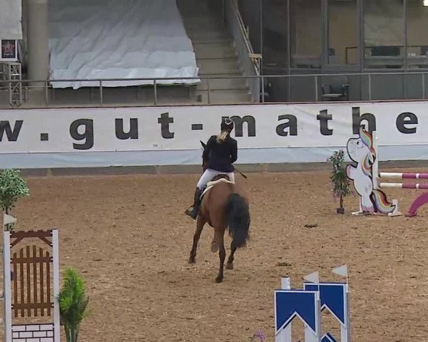 Springturnier Kreuth 2021