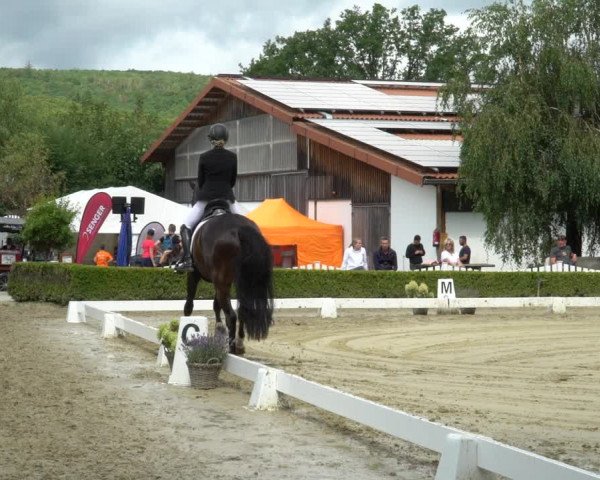 Reitturnier Neu-Anspach / Wintermühle 2023
