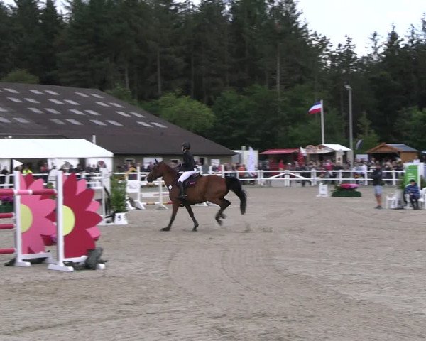 Reitturnier Ladelunder Springtage 2023