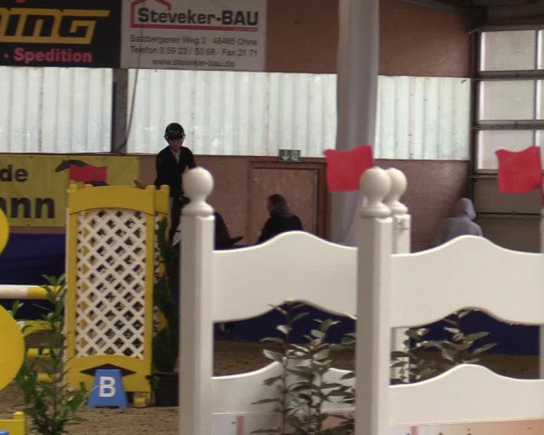 Euregio Springturnier Isterberg 2021