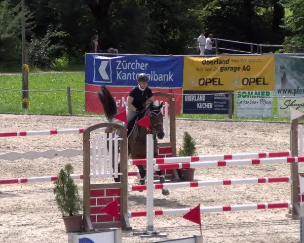 Reitturnier Gossau 2023